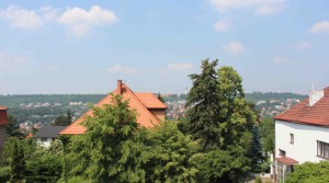 IMG_4700