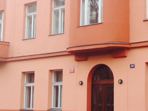 Polská (22)