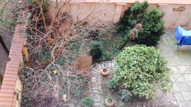 Polská (15)