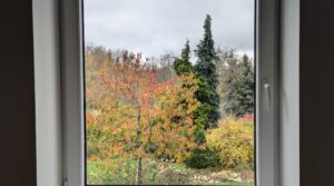 PXL_20241102_102529346