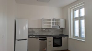 PXL_20241120_084824992